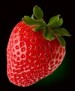 The Strawberry Music Festival