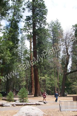 rwp0003948.jpg 43.9K