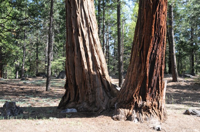 Click to return to index page