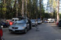 Click to see larger image