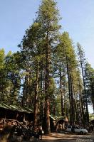 Click to see larger image