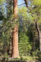 Click to see larger image