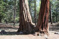 Click to see larger image