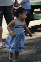 Click to see larger image