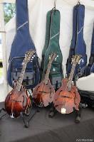 Click to see larger image