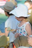 Click to see larger image