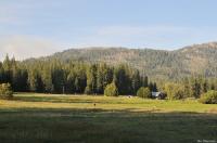 Click to see larger image